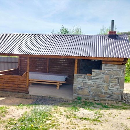 "Бджілка" І " Садиба Для Відпочинку" Lyuta Exteriör bild