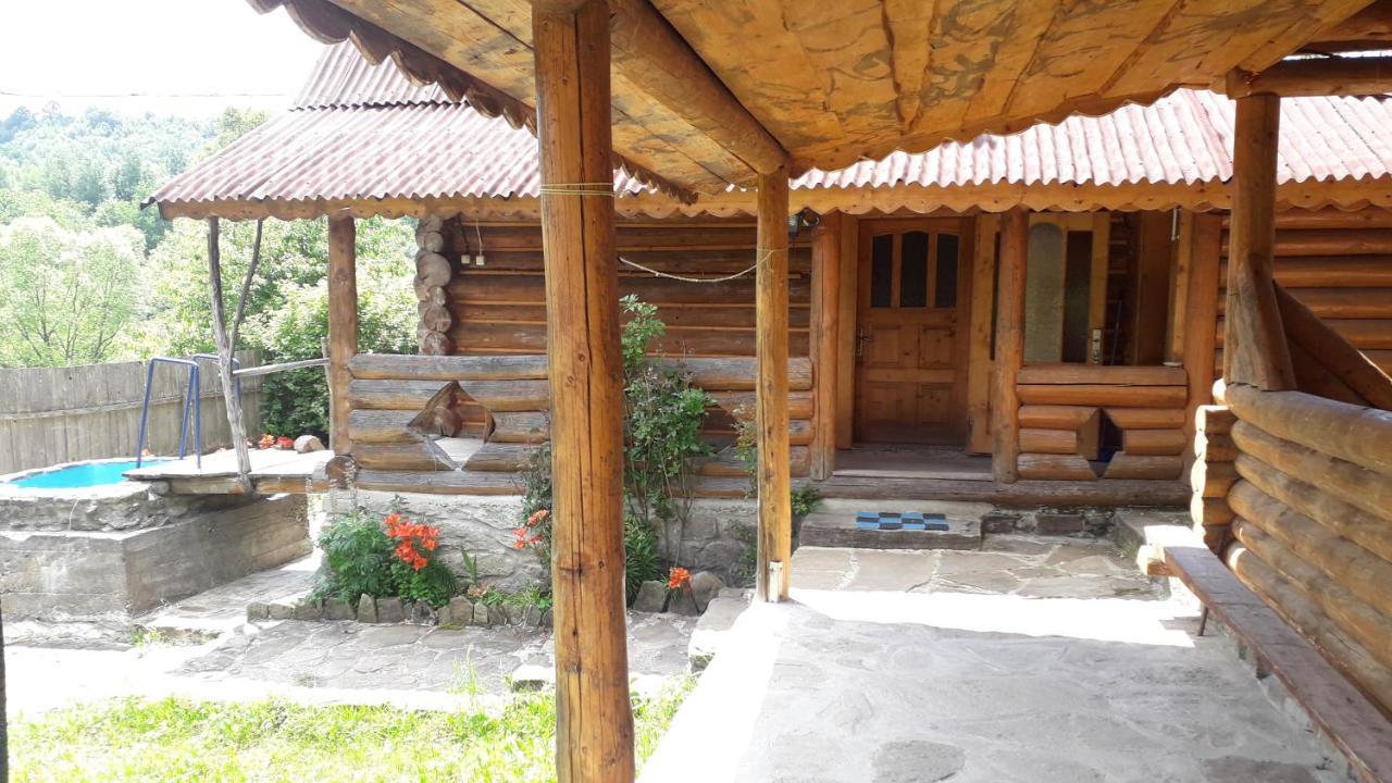 "Бджілка" І " Садиба Для Відпочинку" Lyuta Exteriör bild